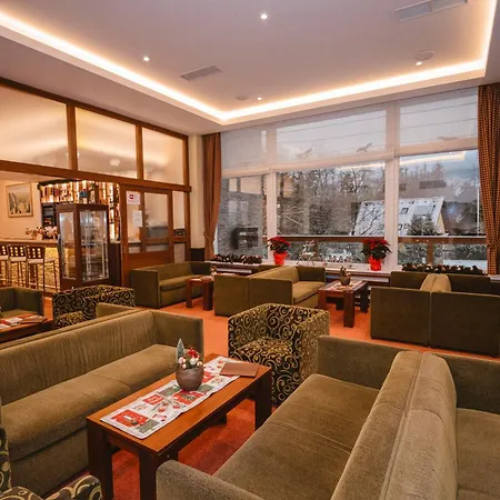 Hotel Lesana 3*