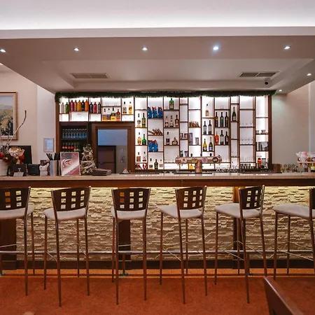 Hotel Lesana