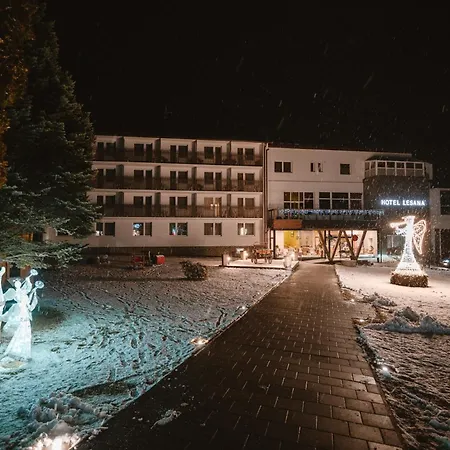 Lesana Hotel 3*